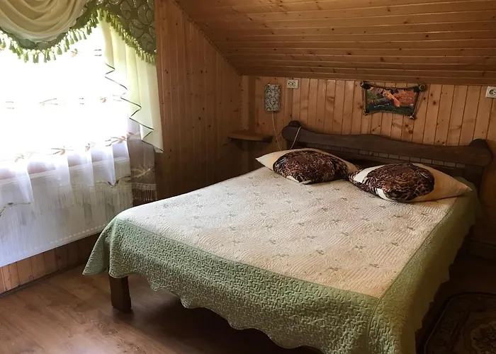 山林小屋 «дем'янів двір»